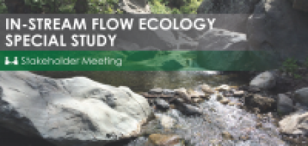 In-stream flow ecology special study